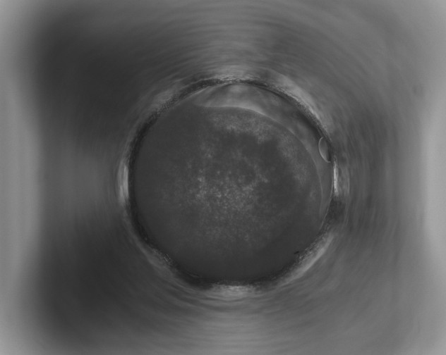 X0000101430205200807211157