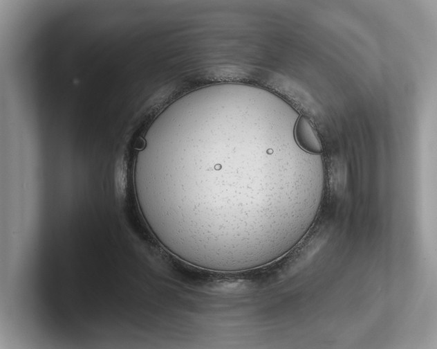 X0000101430206200807211157