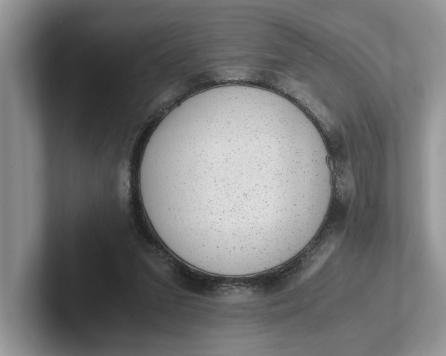 X0000101430207200807211157