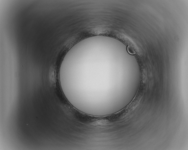 X0000101430210200807211157