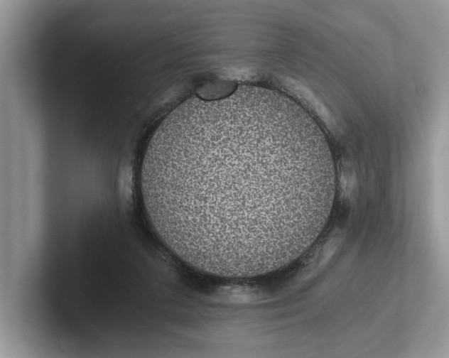 X0000101430211200807211157