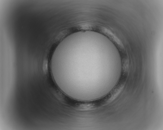 X0000101430213200807211157