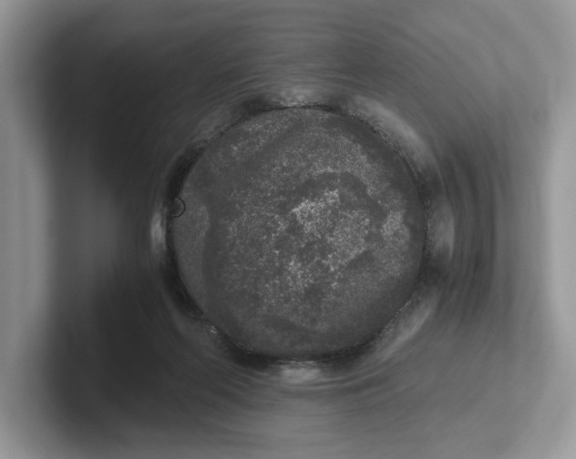 X0000101430214200807211157