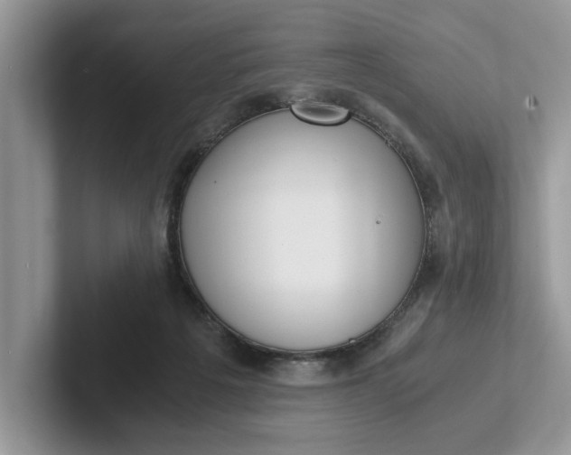 X0000101430217200807211157