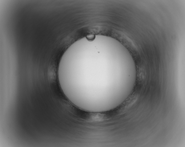 X0000101430226200807211157