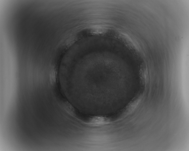 X0000101430227200807211157