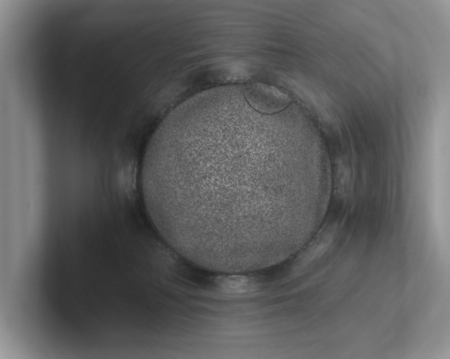 X0000101430230200807211157