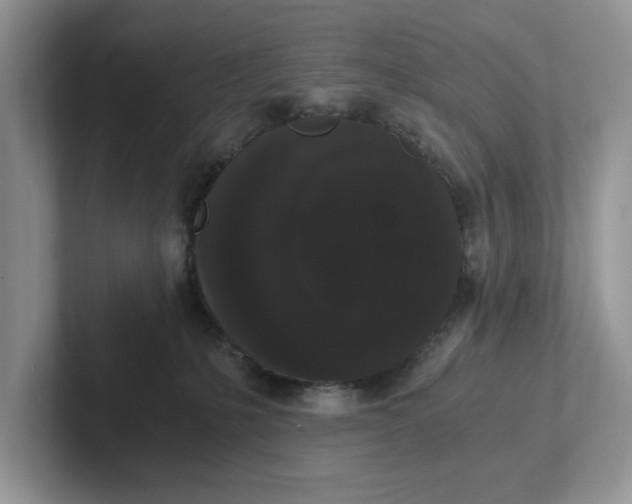 X0000101430231200807211157