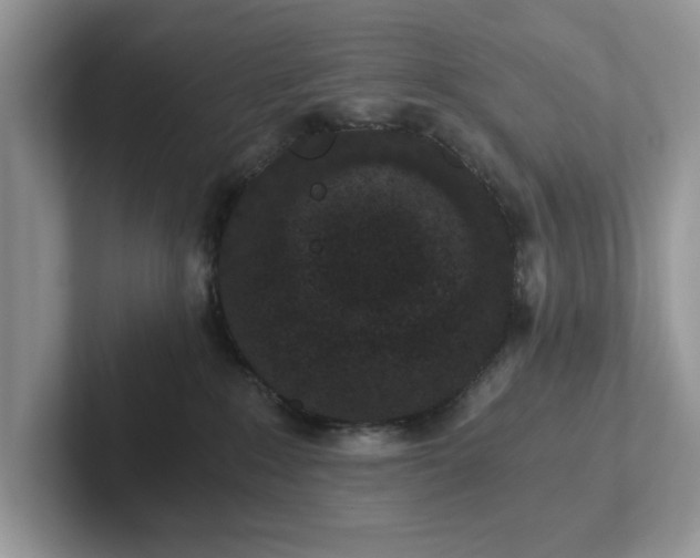 X0000101430235200807211157