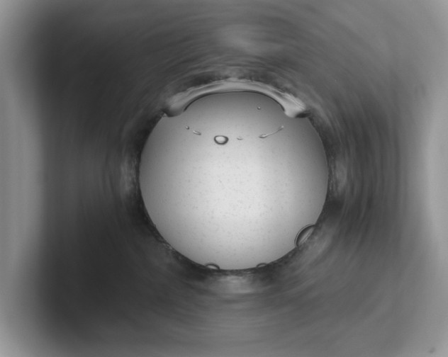 X0000101430236200807211157