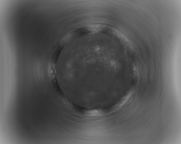 X0000101430237200807211157