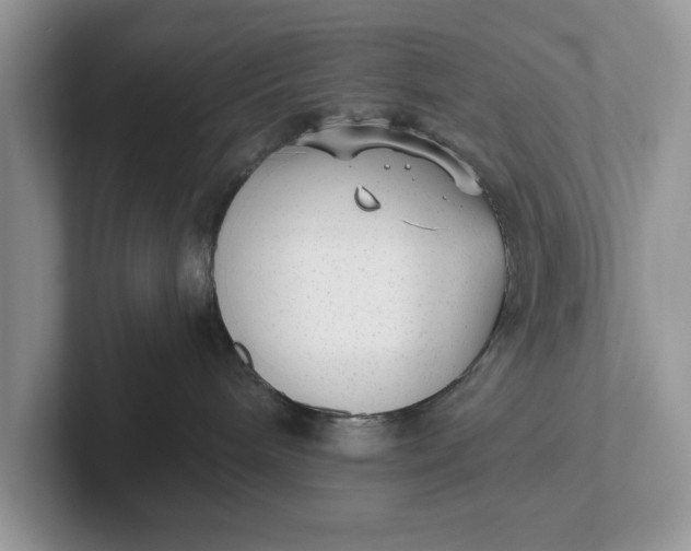 X0000101430240200807211157