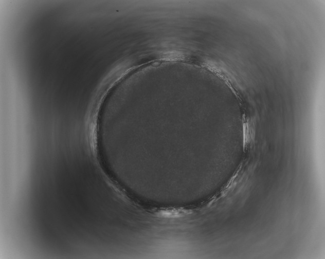 X0000101430243200807211156