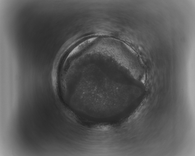 X0000101430247200807211156