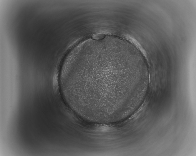 X0000101430249200807211156