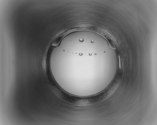 X0000101430252200807211156