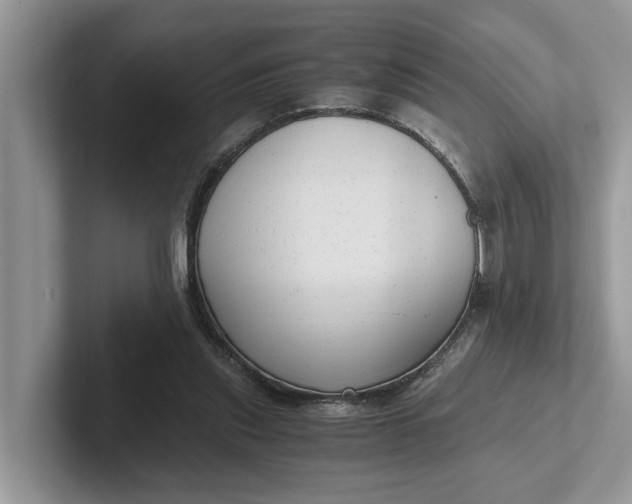 X0000101430253200807211156