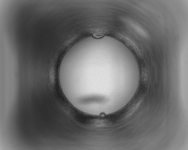 X0000101430255200807211156