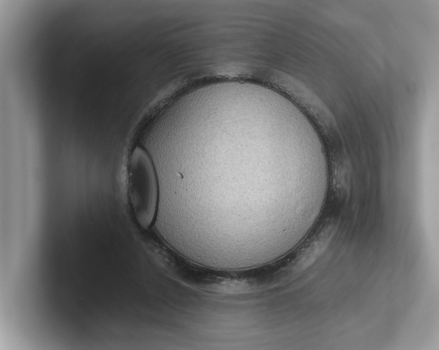 X0000101430256200807211156