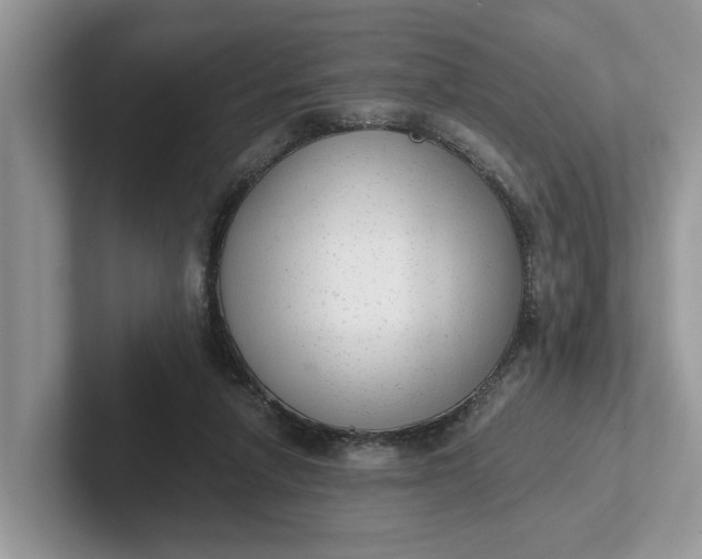 X0000101430258200807211156