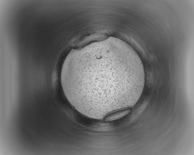 X0000101430260200807211156