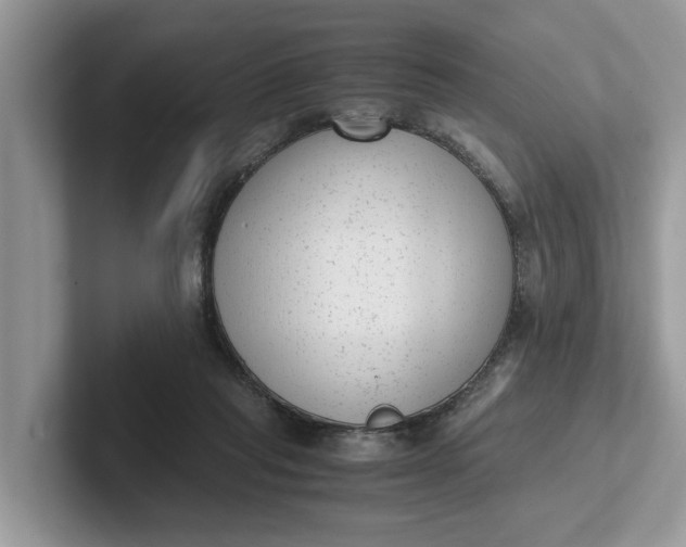 X0000101430261200807211156