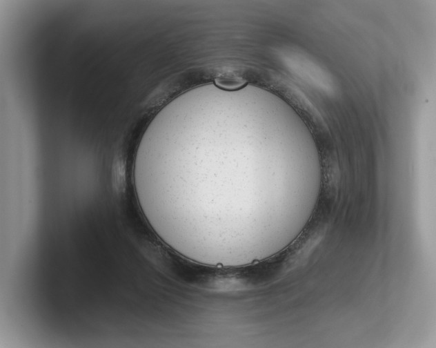 X0000101430262200807211156