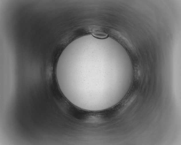 X0000101430263200807211156