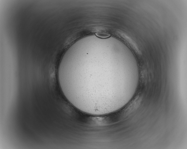 X0000101430265200807211156