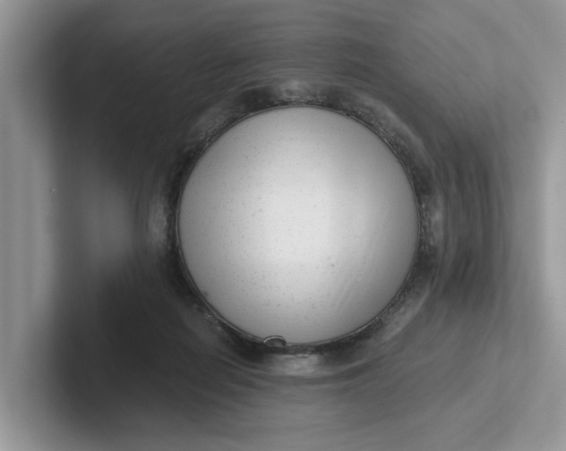 X0000101430266200807211156