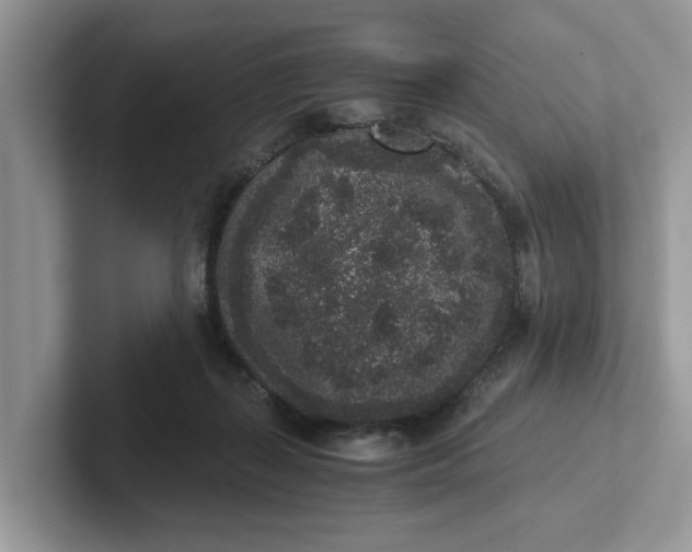 X0000101430267200807211156