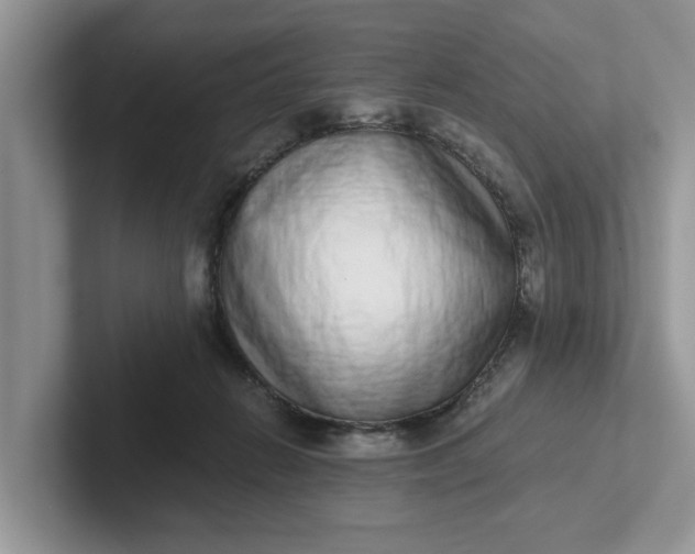 X0000101430270200807211156