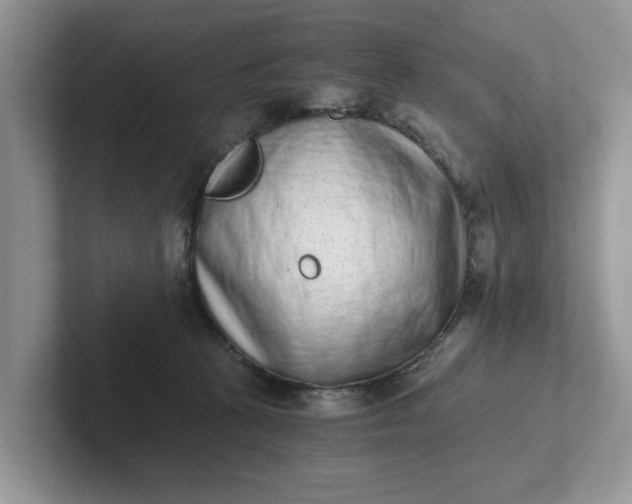 X0000101430273200807211156