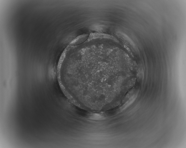 X0000101430285200807211157