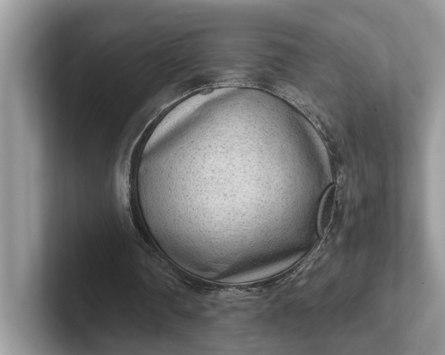 X0000101430290200807211156