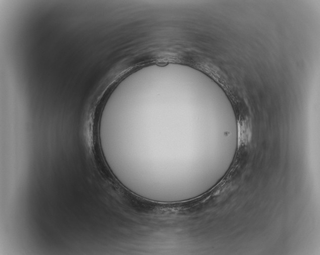 X0000101430291200807211156