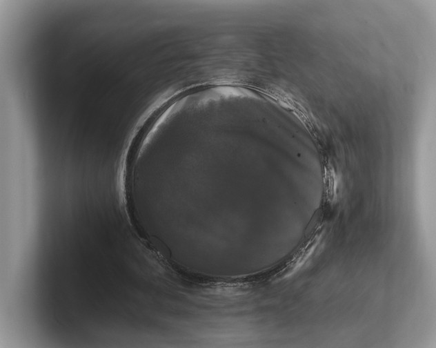 X0000101430292200807211156