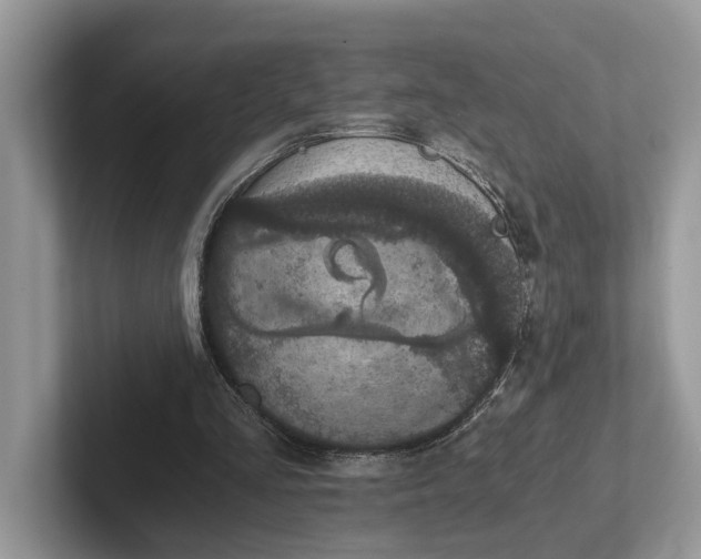 X0000101430293200807211156