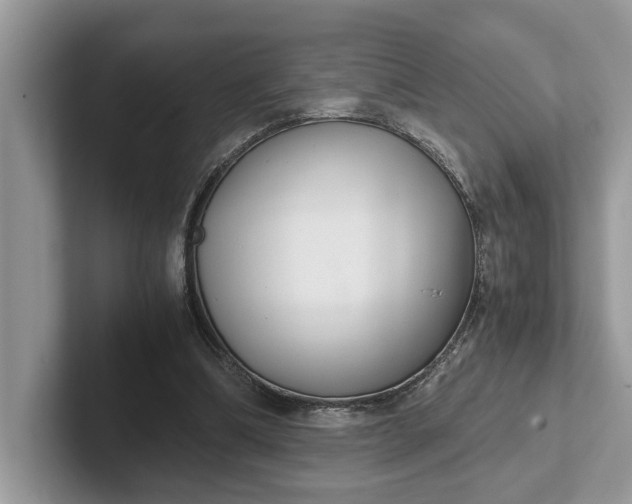 X0000101430298200807211156