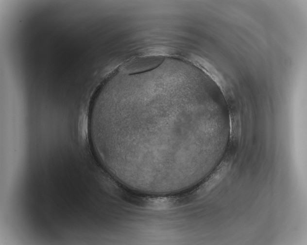 X0000101430301200807211156