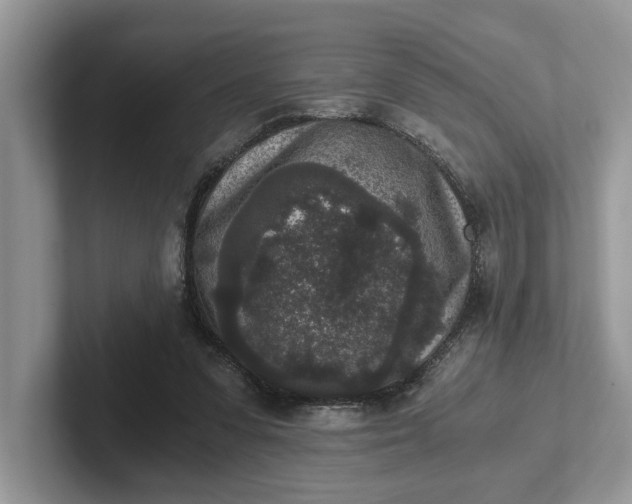 X0000101430303200807211156