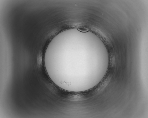 X0000101430310200807211156