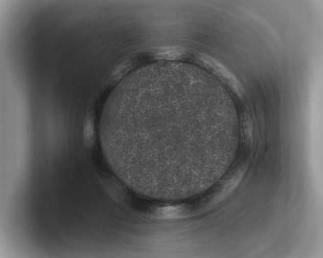 X0000101430312200807211156