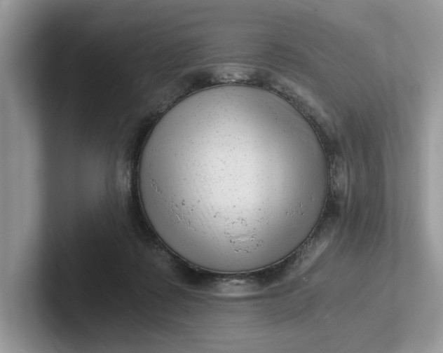 X0000101430315200807211156