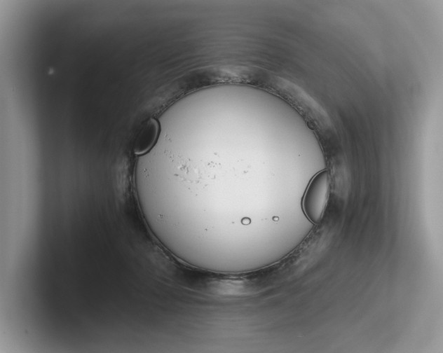 X0000101430318200807211156