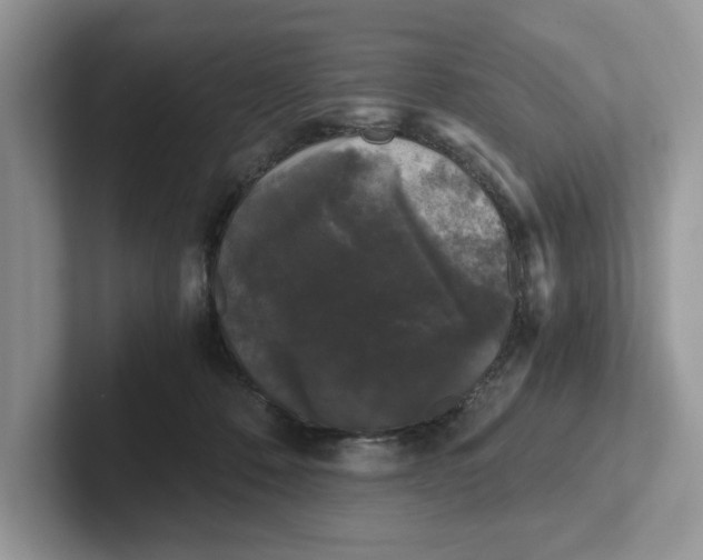 X0000101430320200807211155