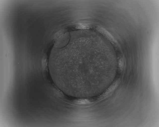 X0000101430322200807211155