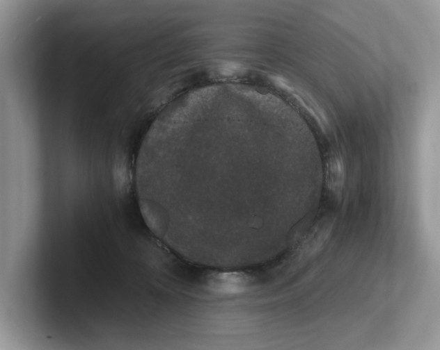 X0000101430324200807211155