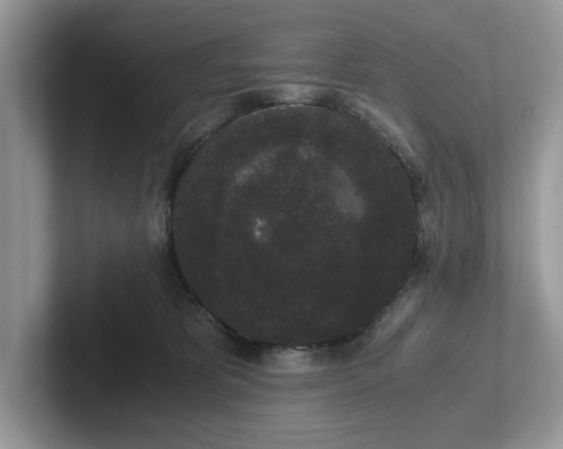 X0000101430325200807211155