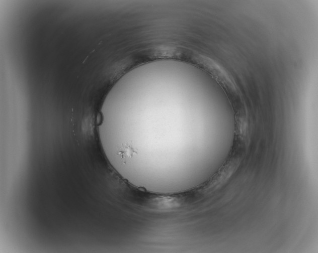 X0000101430326200807211155